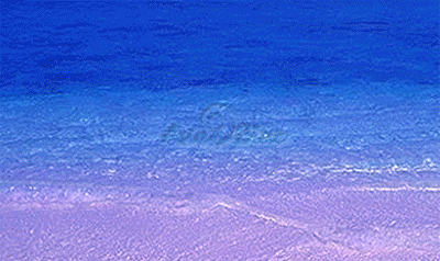 �A�W�A���u���[�V���b�v�y�[�W